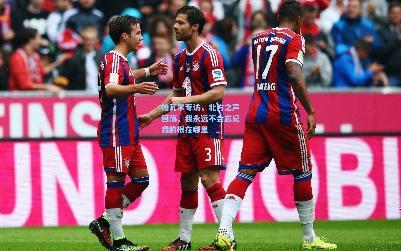 帕瓦尔专访，北方之声回荡，我永远不会忘记我的根在哪里